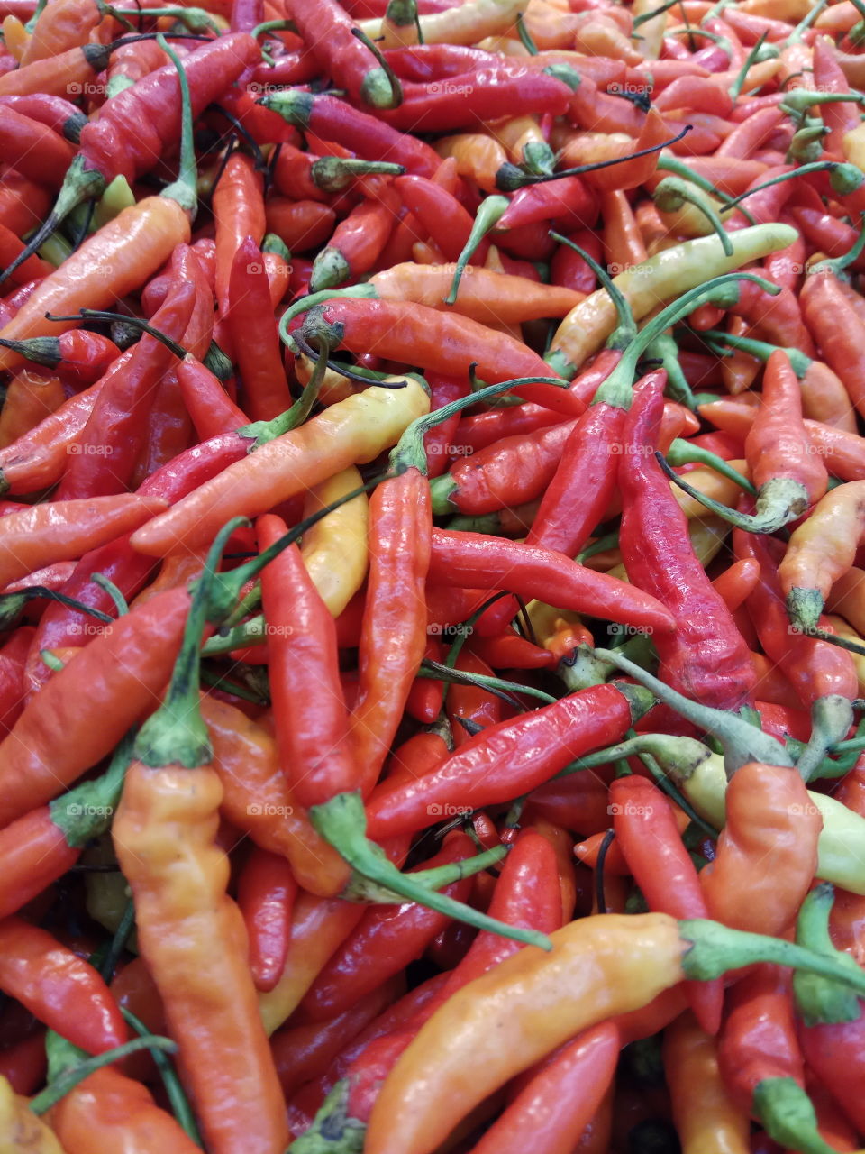 Spicy chillis