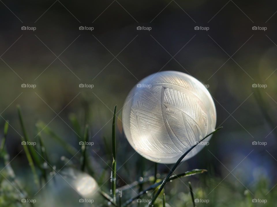 Frozen soap bubble