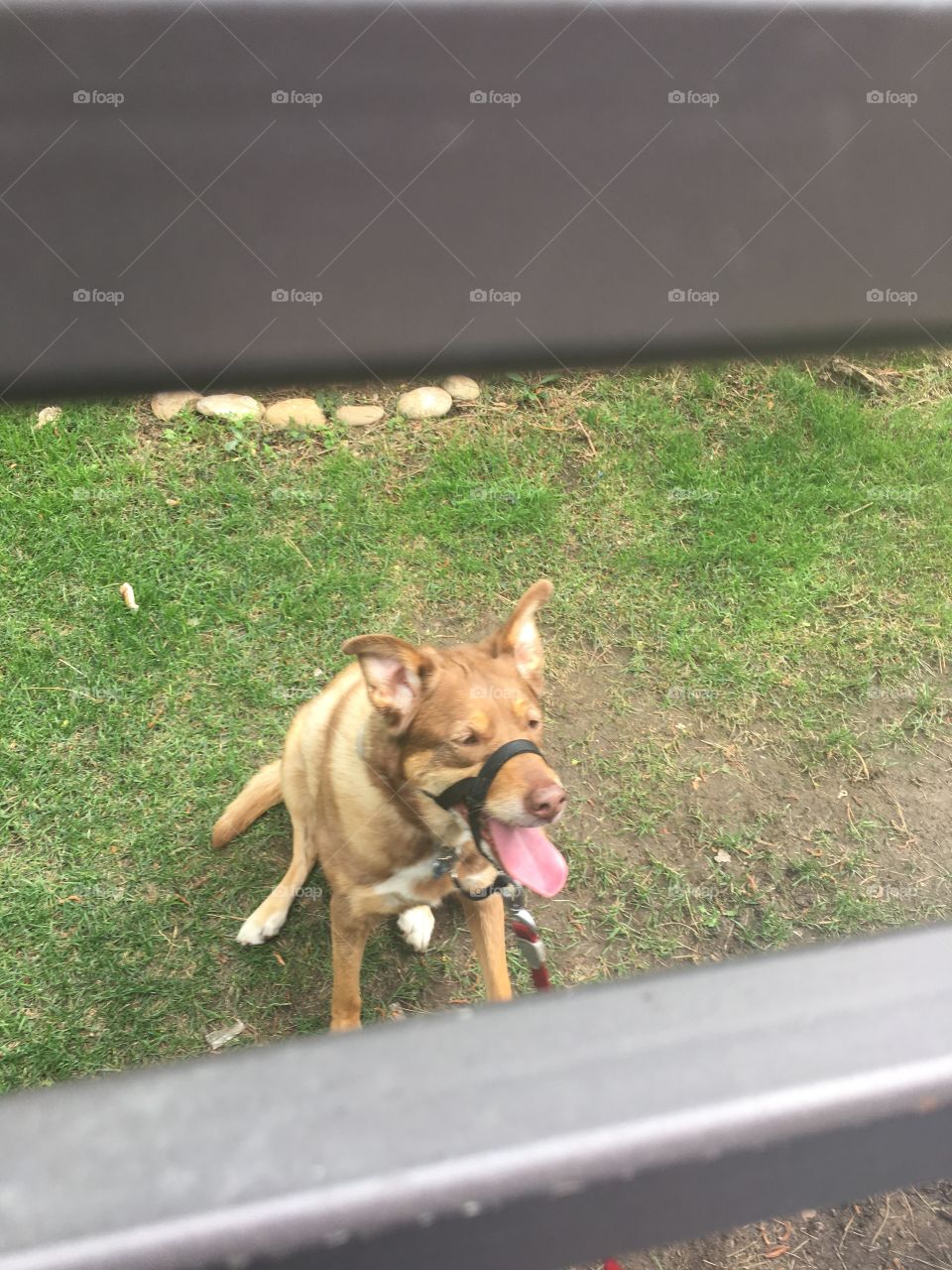 Pure happiness after a run