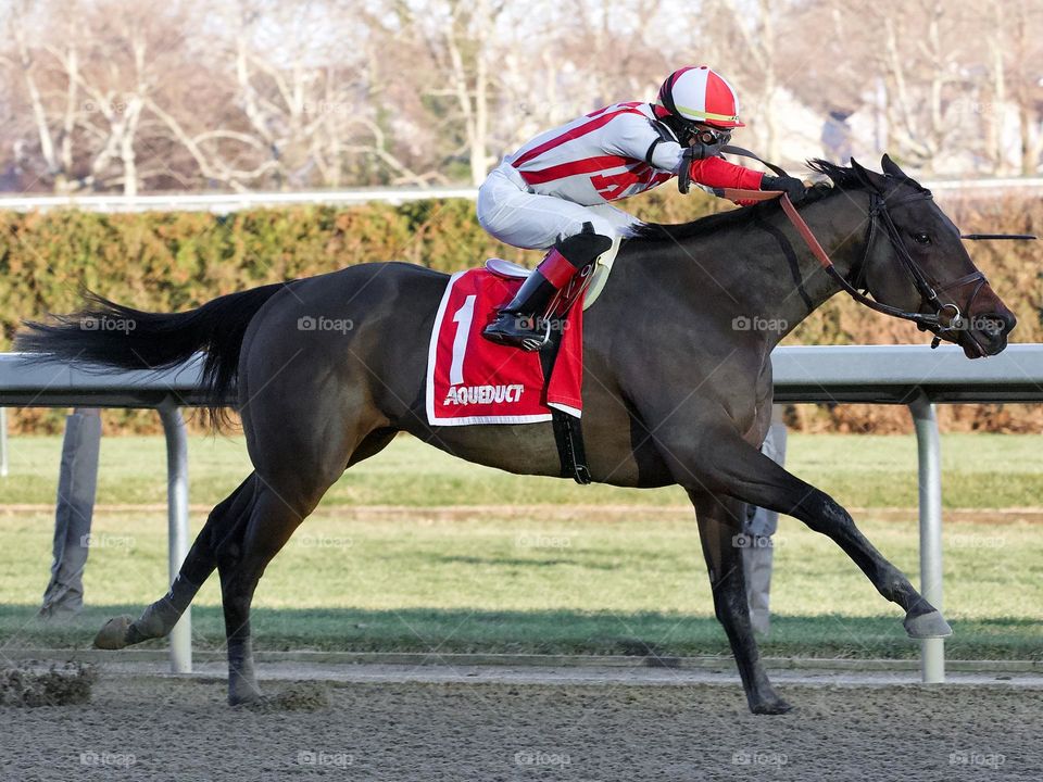 Jose Ortiz winning at Aqueduct