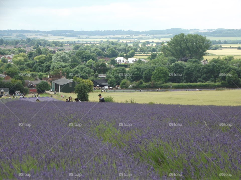 A Beautiful Landscape