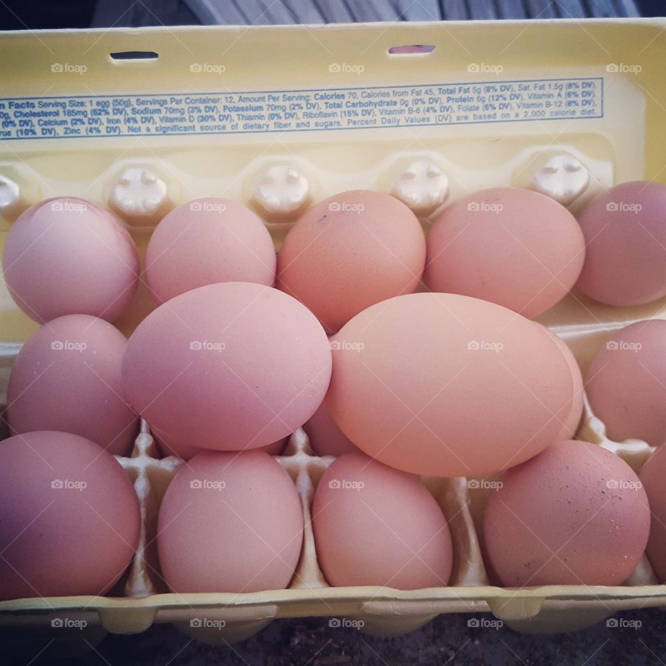 fresh farm brown eggs