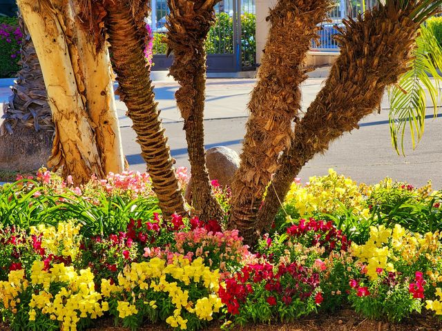 A colorful bouquet of beautiful flowers adorns a curbside adding color and life to an otherwise drab setting