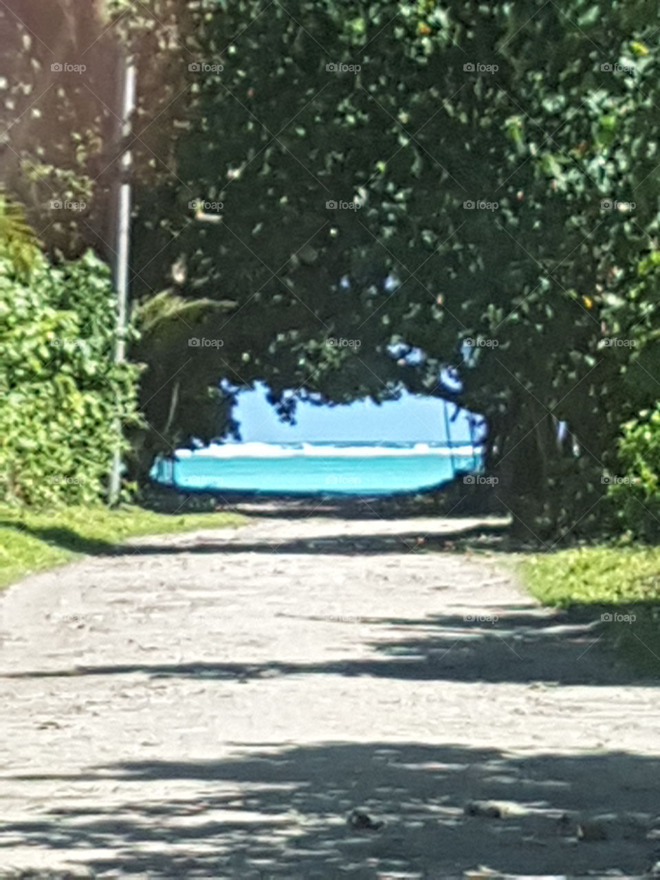 going swimming anyone?