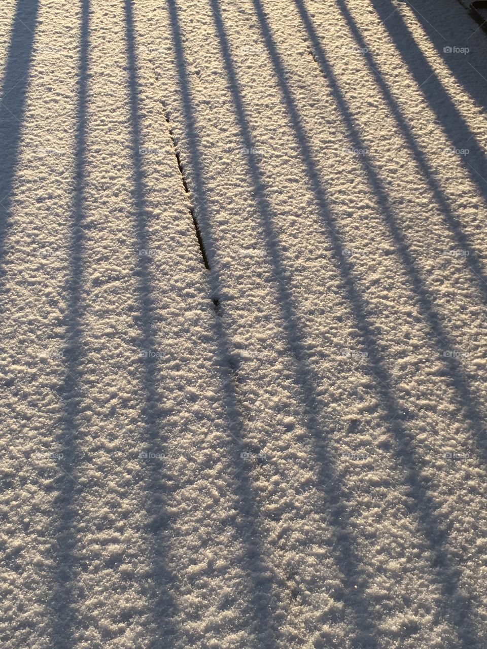 Shadows in Snow