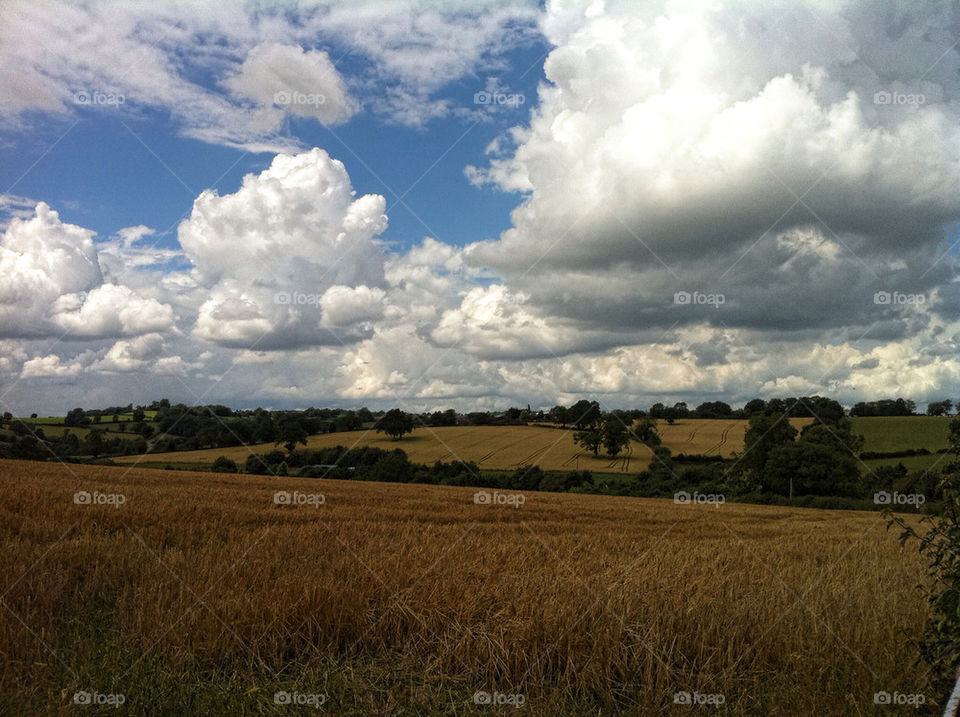 sky field summer clouds by chris7ben