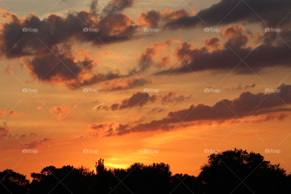 Sunset over tree line 