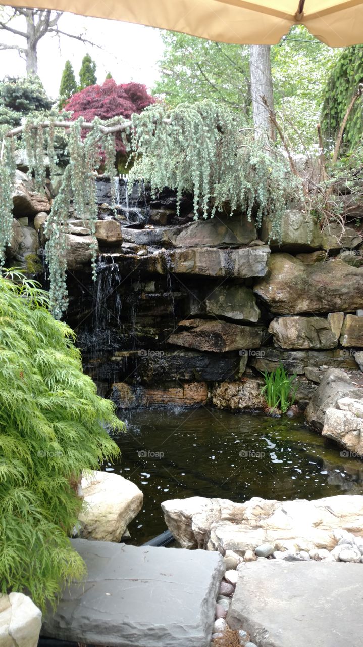 Backyard Waterfall