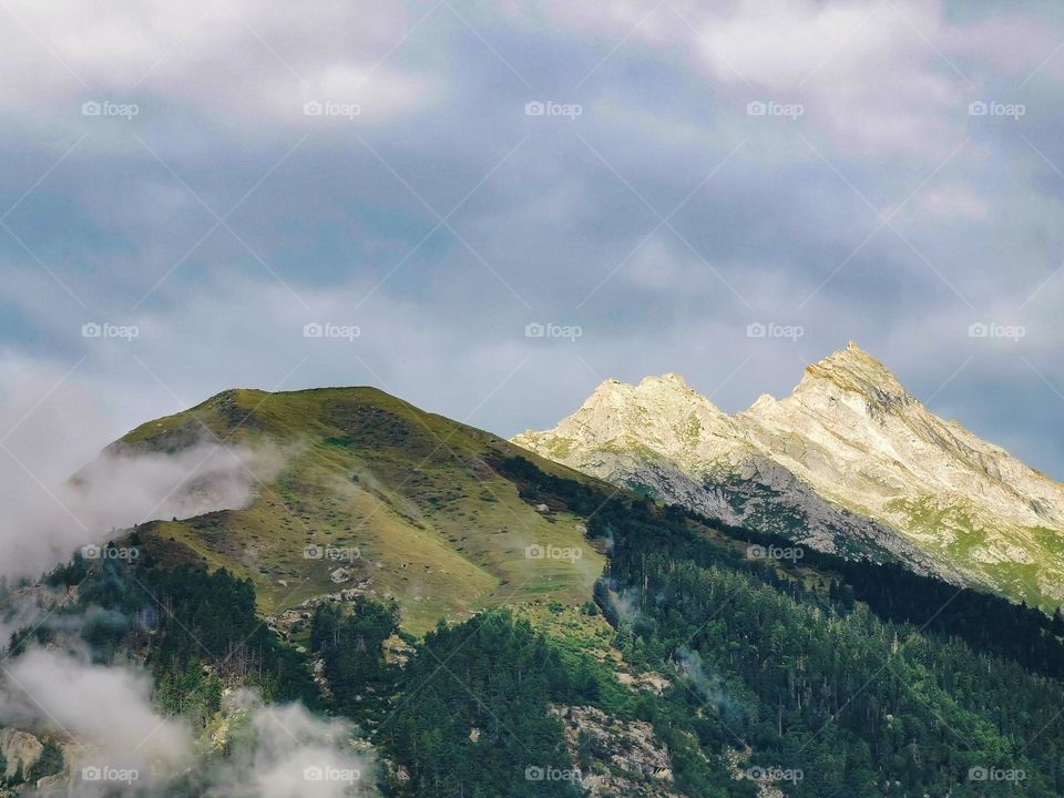 mountain view in summer