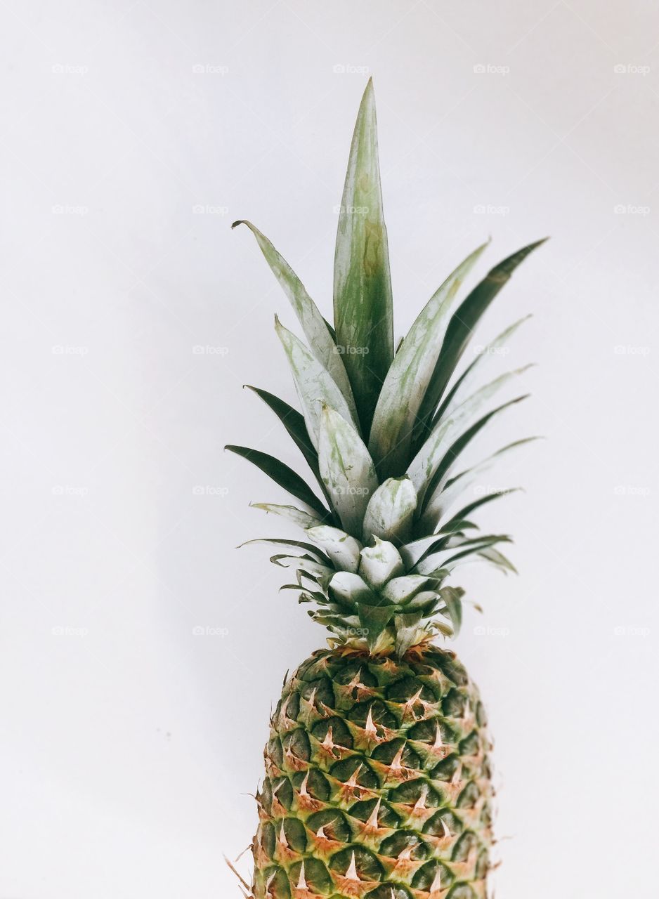 Pineapple 