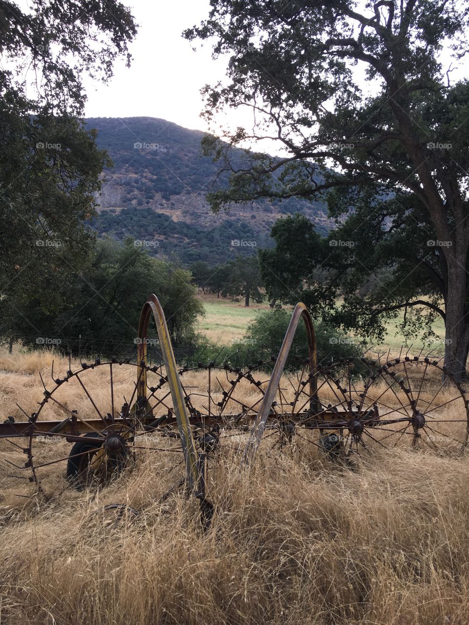 Old rusty tractor thing 