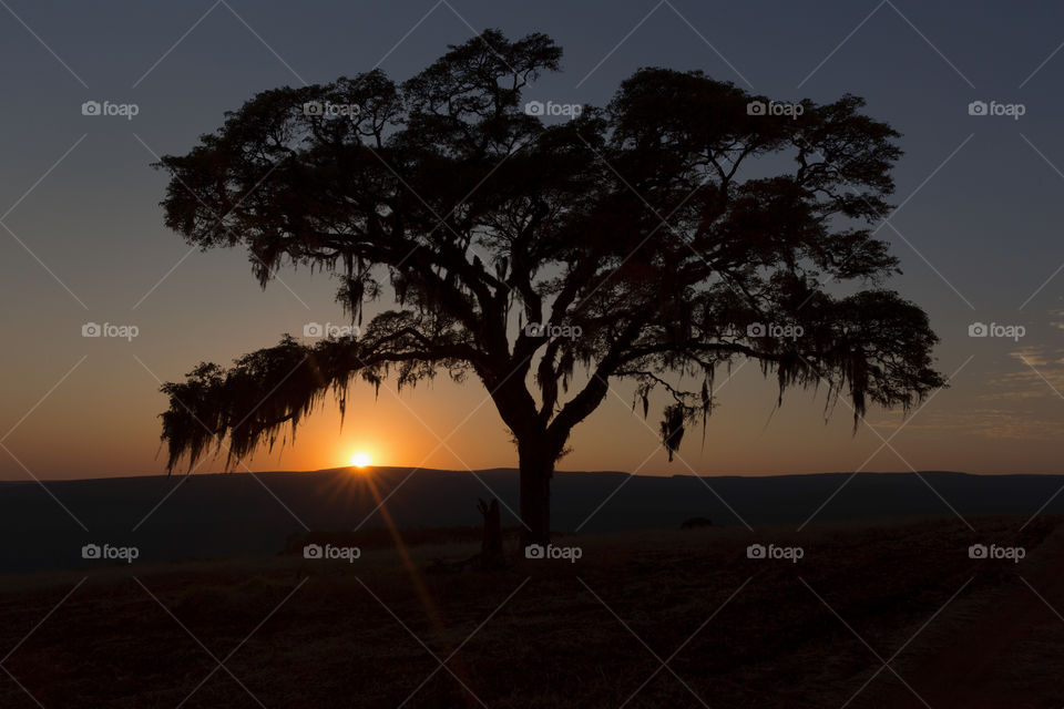 Sunset behind the tree in 
Senges.