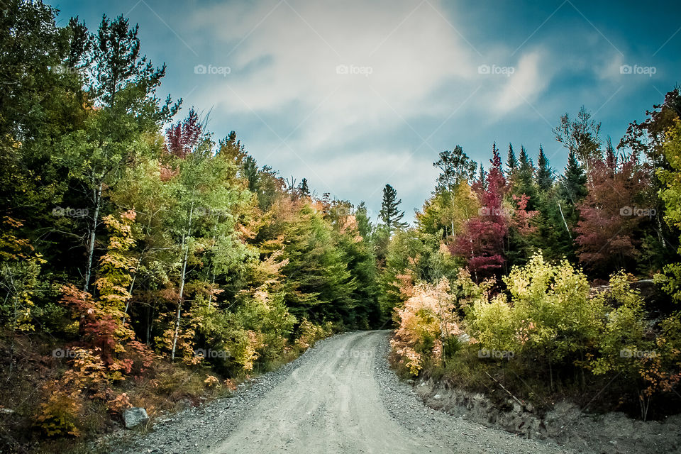 Fall in the Adirondacks