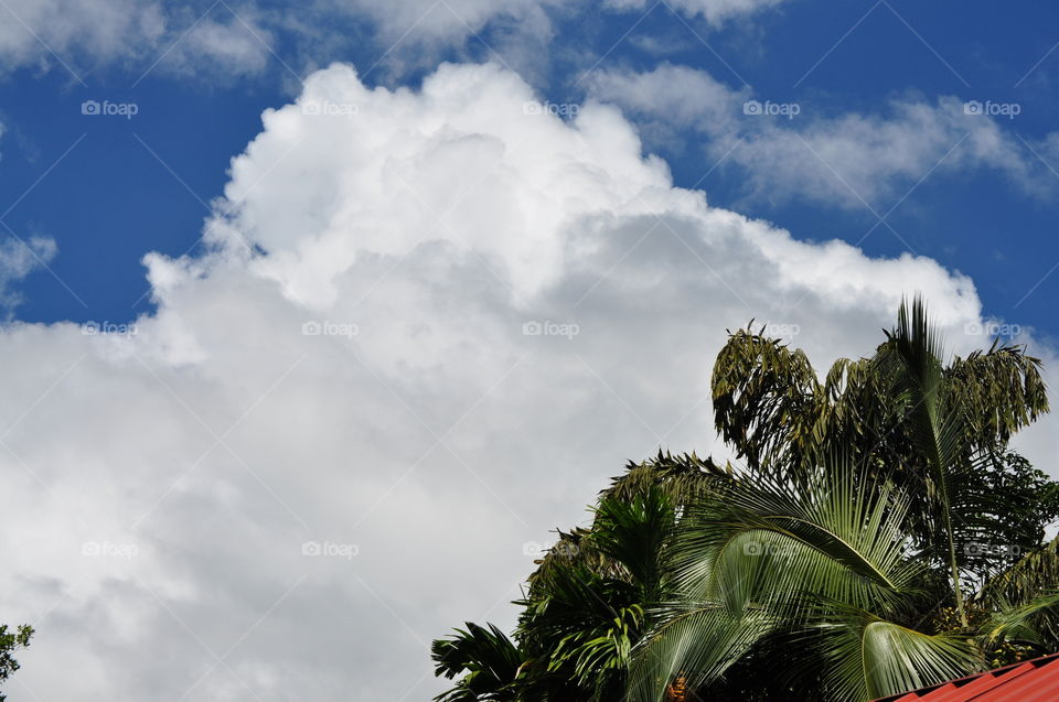 cloud and blue sky