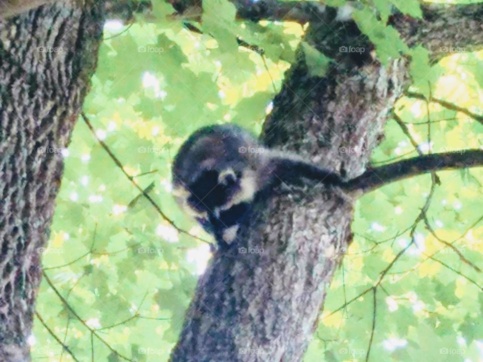 Driving the Back Roads and enjoying everything around us