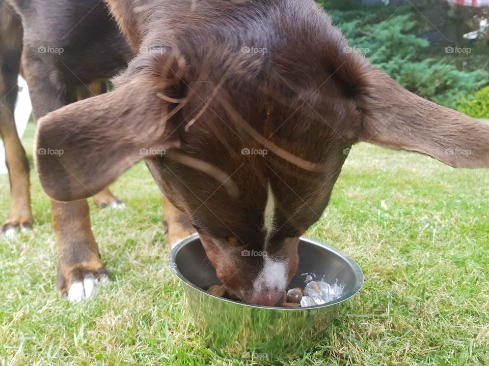 Broken with whipped cream, very tasty.