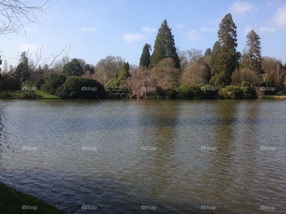 Lake and Trees. Lake in Sheffield Park Gardens, East Sussex, England