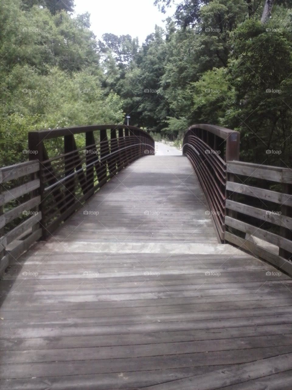 ~Bridge To The Unknown~