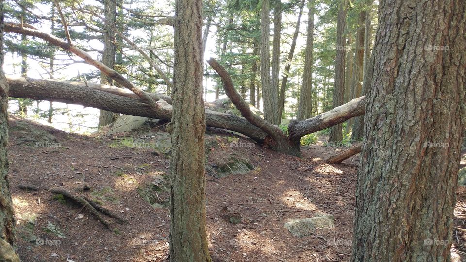 Split in all directions