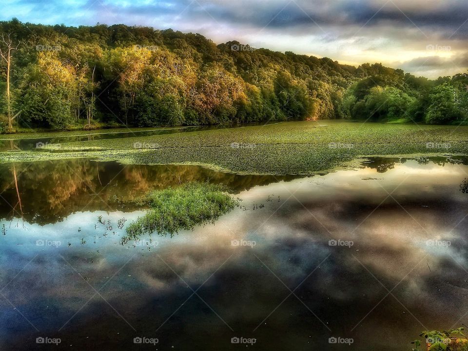 Still creek at dusk. A beautiful creek during the golden hours of photography 