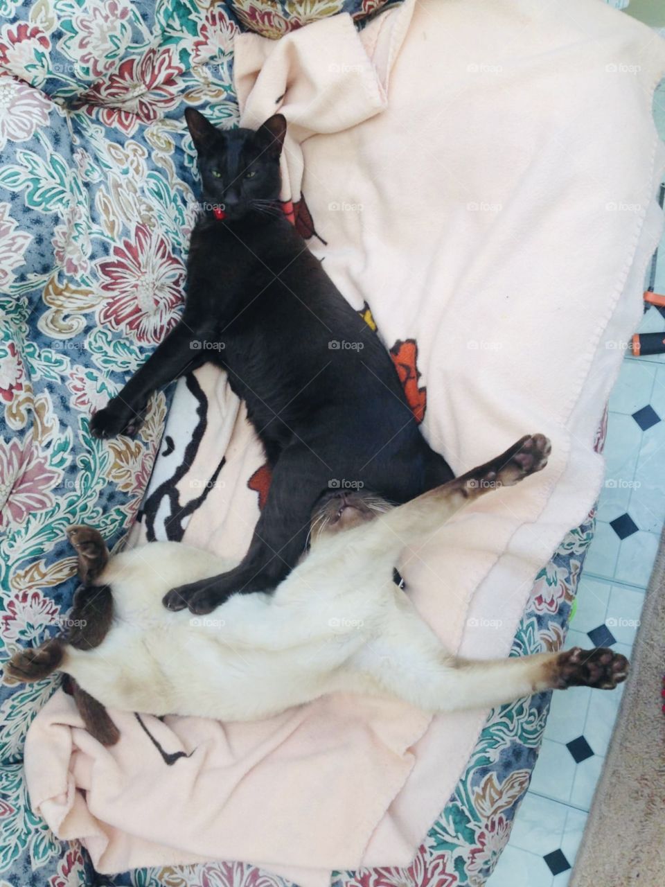 “poooooo weeeeee 🤭