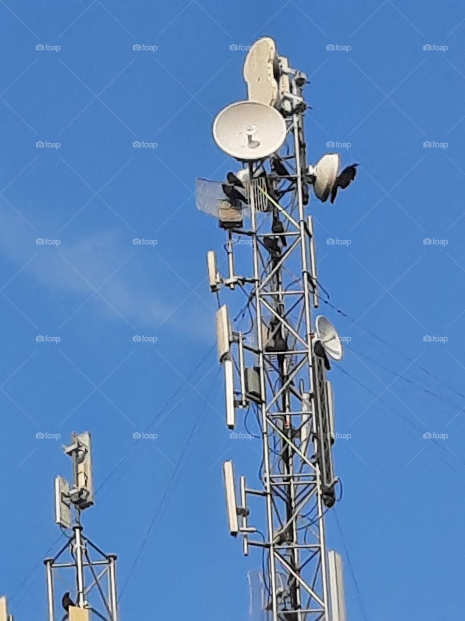 satellite antennas on top of the roof with sitting crows