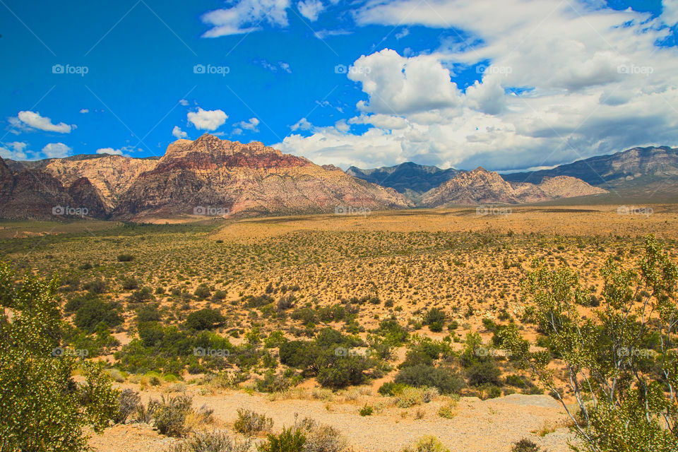 Desert landscape near Las Vegas , Nevada .