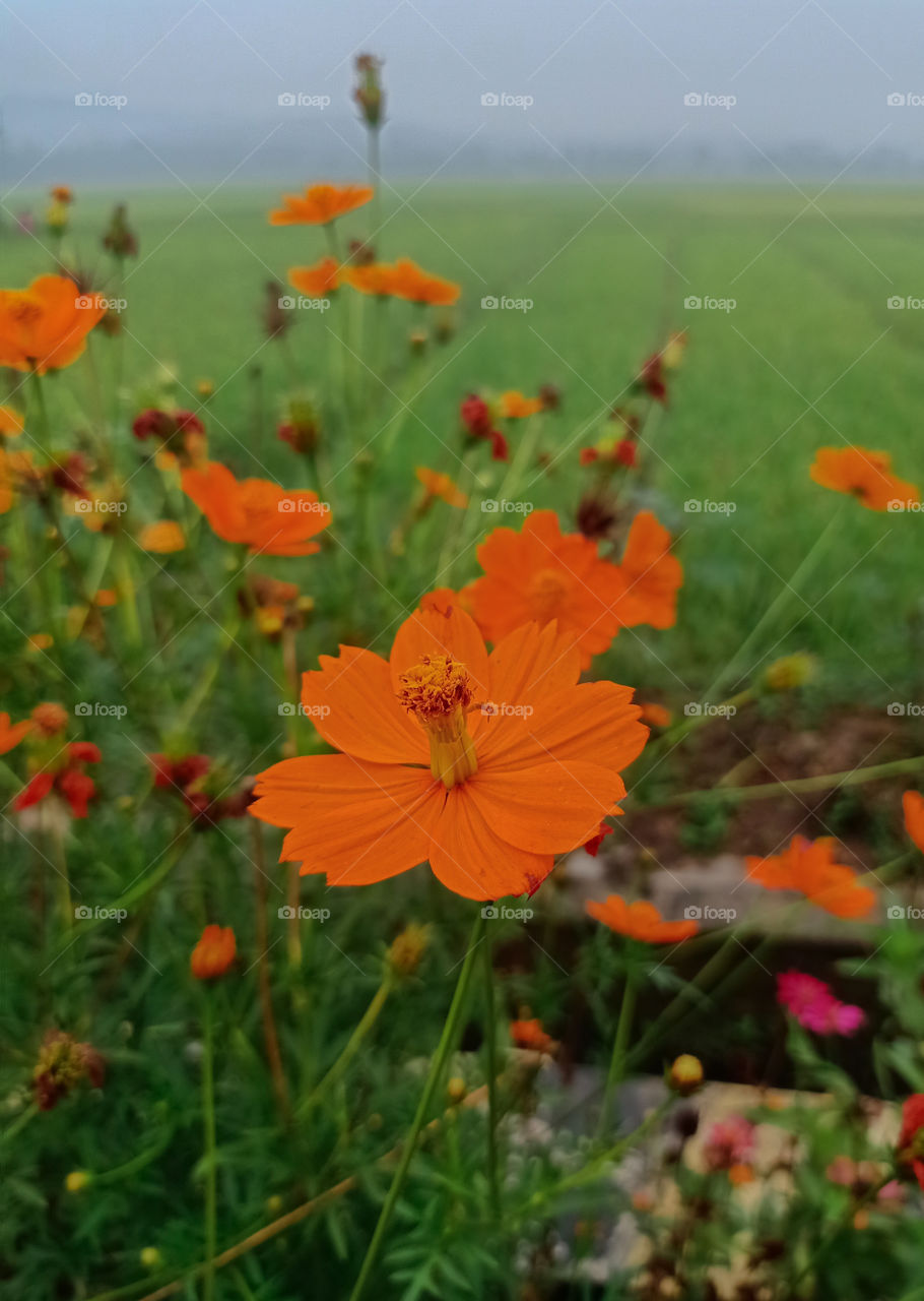 You are growing beautifully even if you are growing slowly, even if you are struggling.