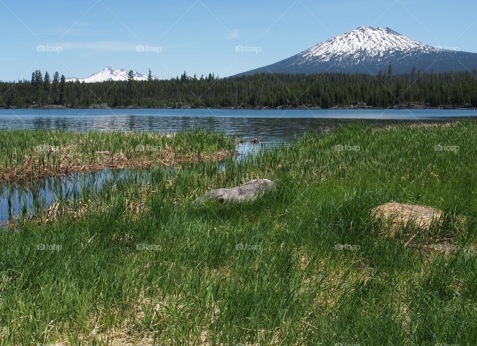 The calm blue waters of Lava Lake with a channel running through green reeds and Mt. Bachelor and Broken Top in the background in Oregon's Cascade Mountains on a sunny summer day. 
