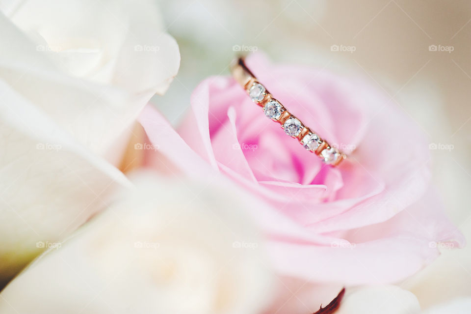 Close-up of wedding ring on rose