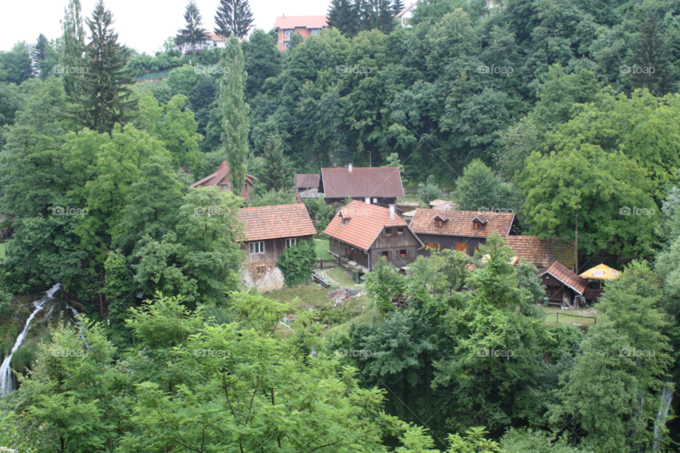 green forest nice tranquility by izabela.cib