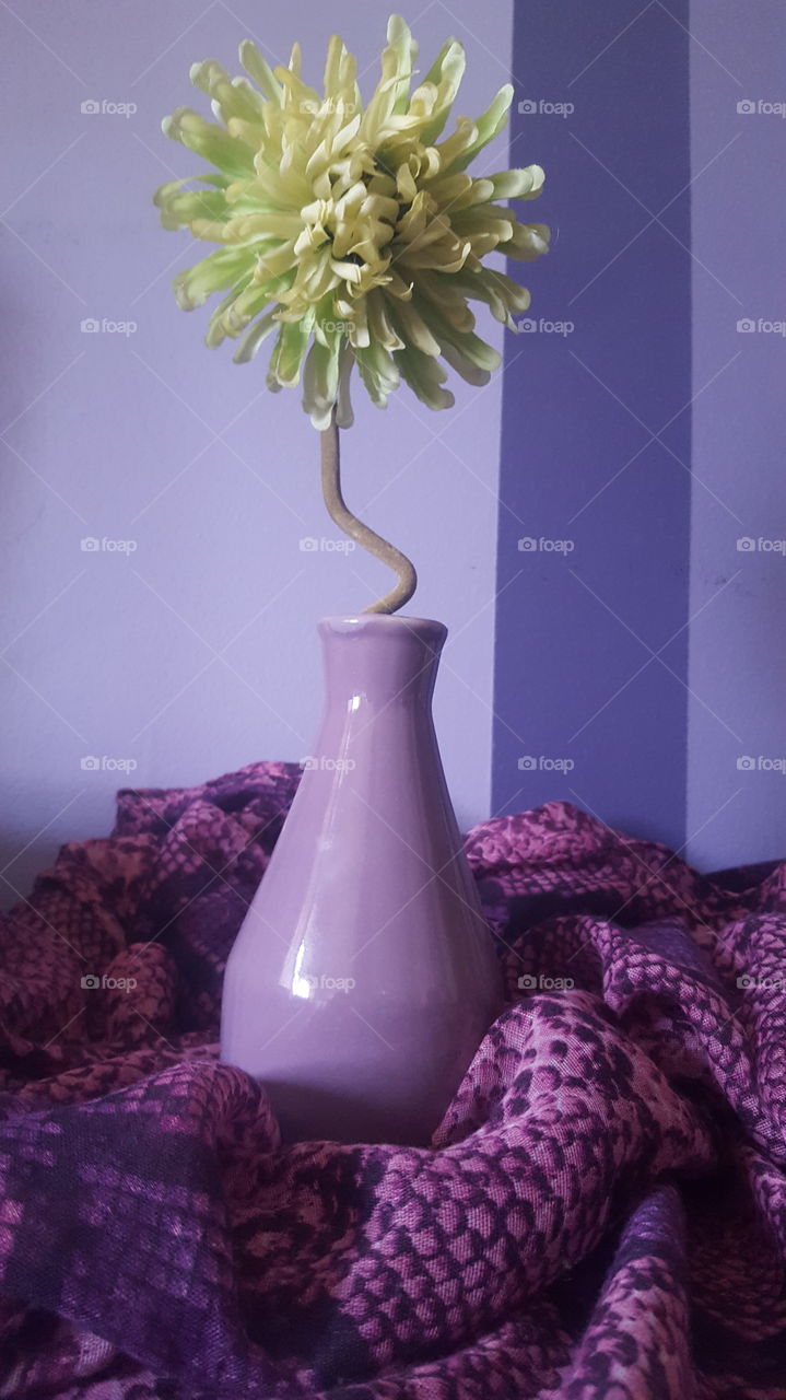 Purple vase and flower