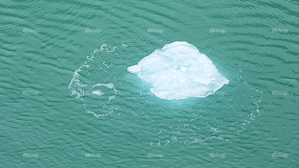 ice in the water  - summertime in Alaska