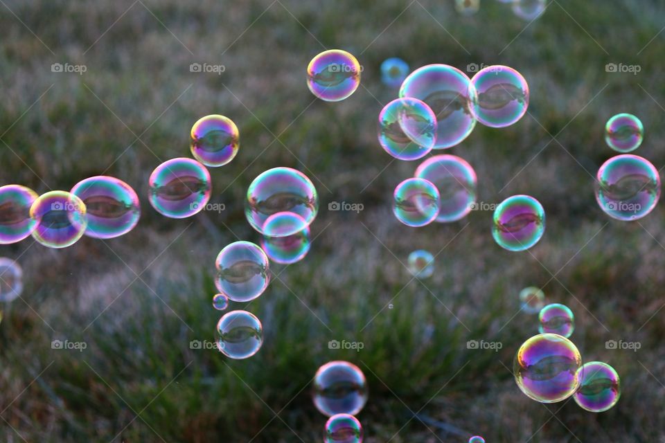 bubbles