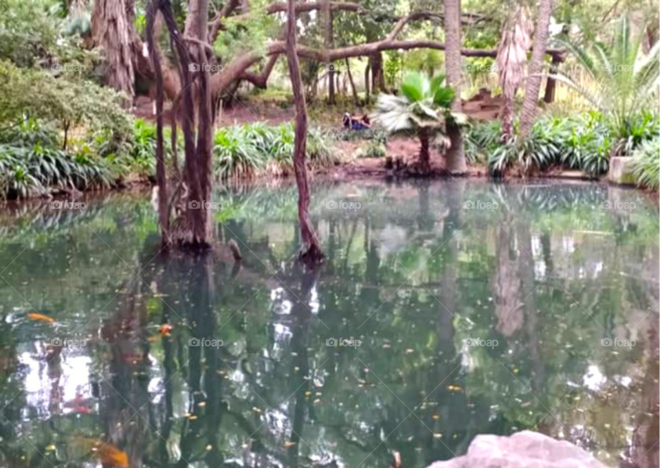 Everyone has a reflection of itself.