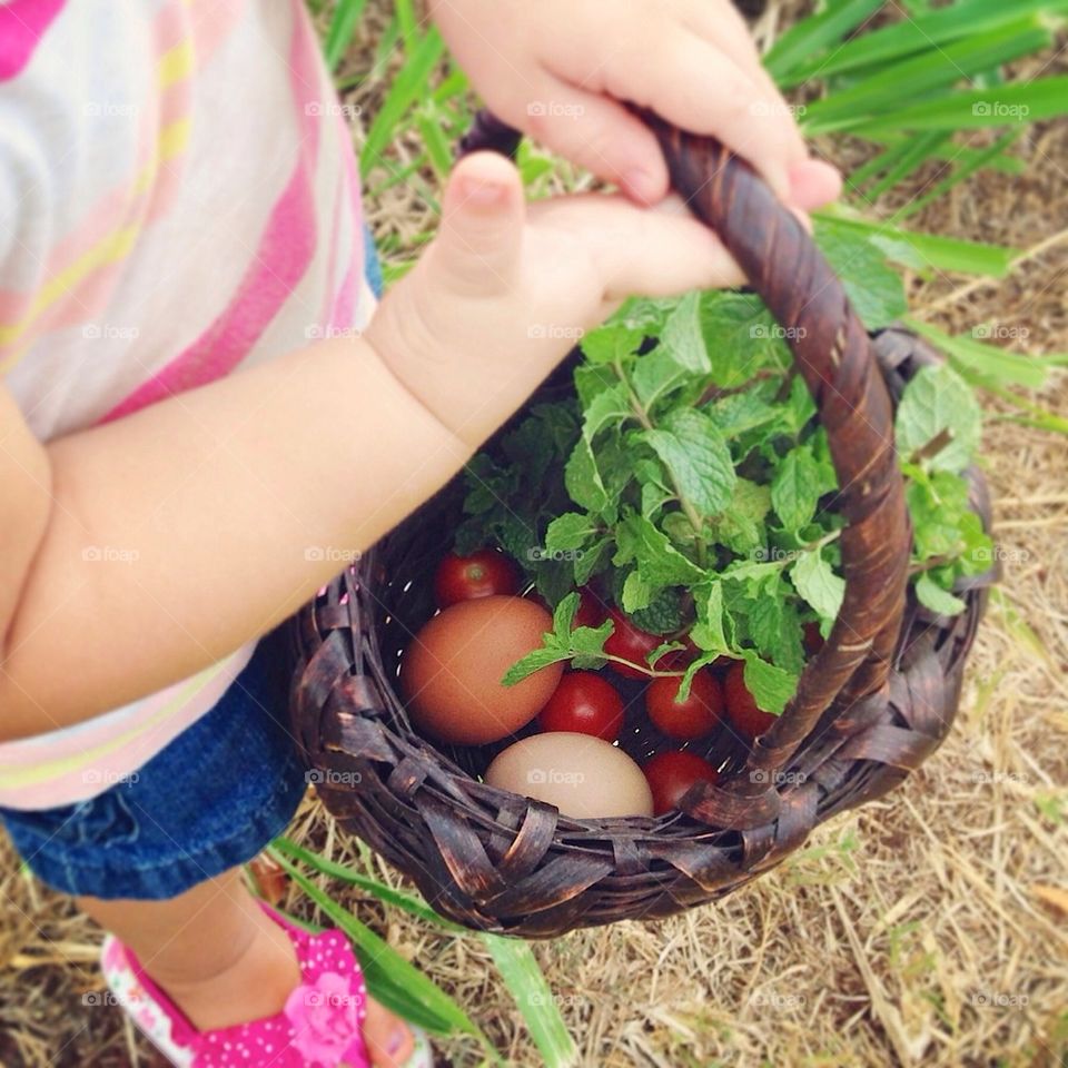 Farm Fresh Basket