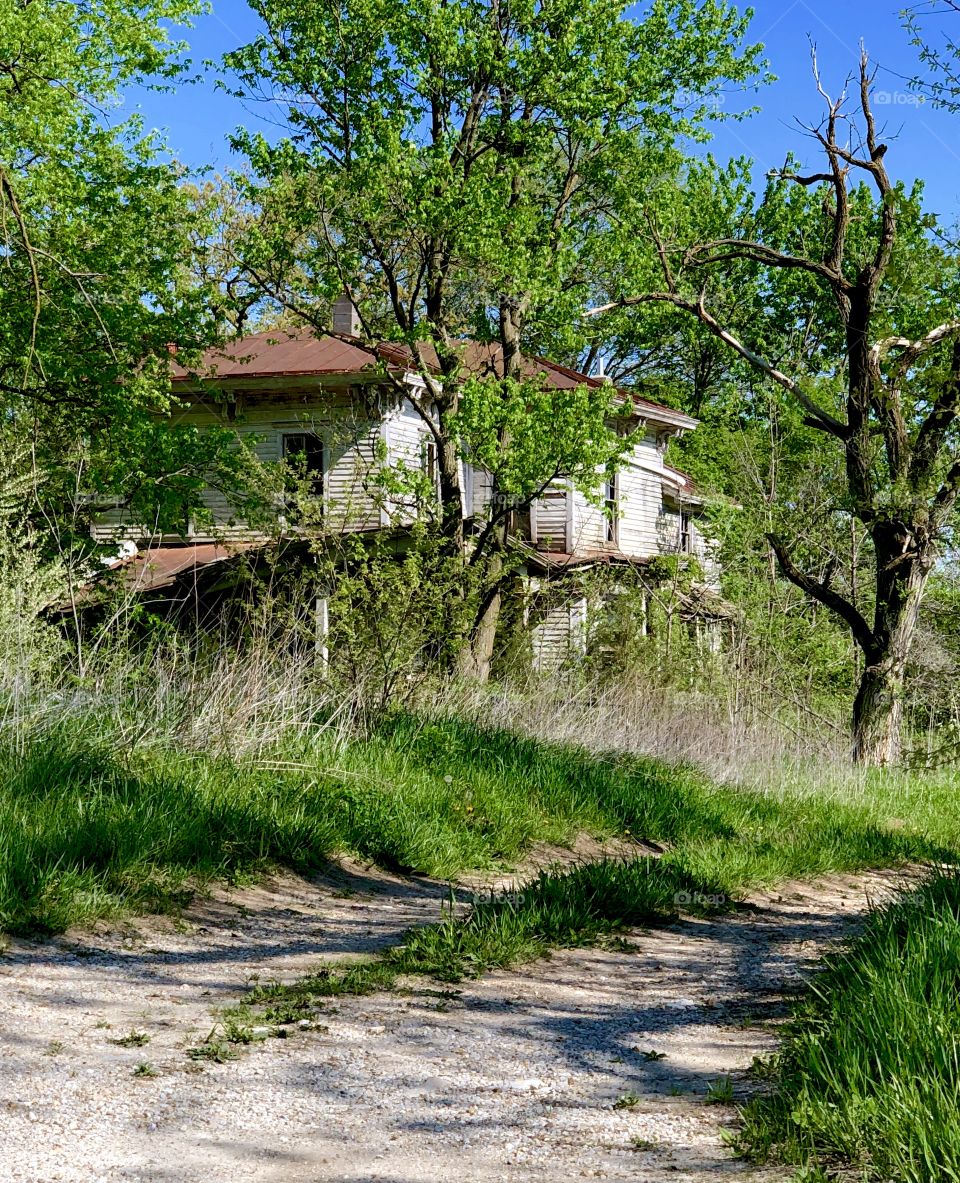 Old homestead 