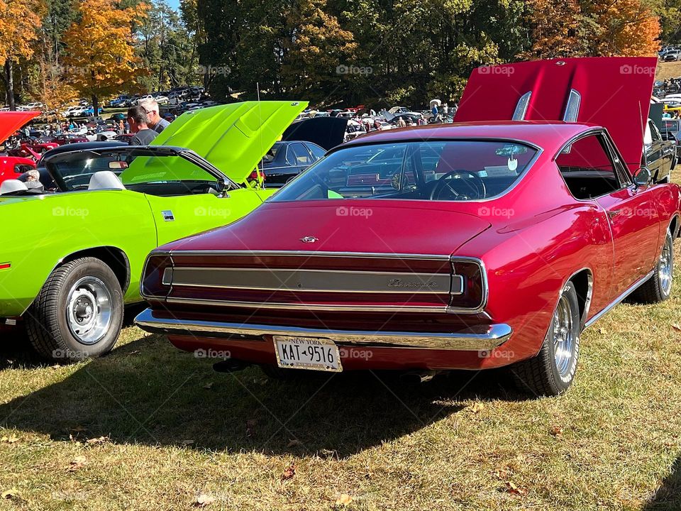 Ford Barracuda Classic 2024