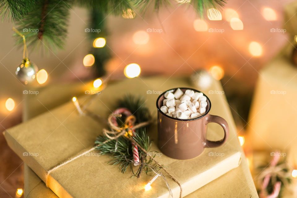 Cup of cocoa with marshmallow 