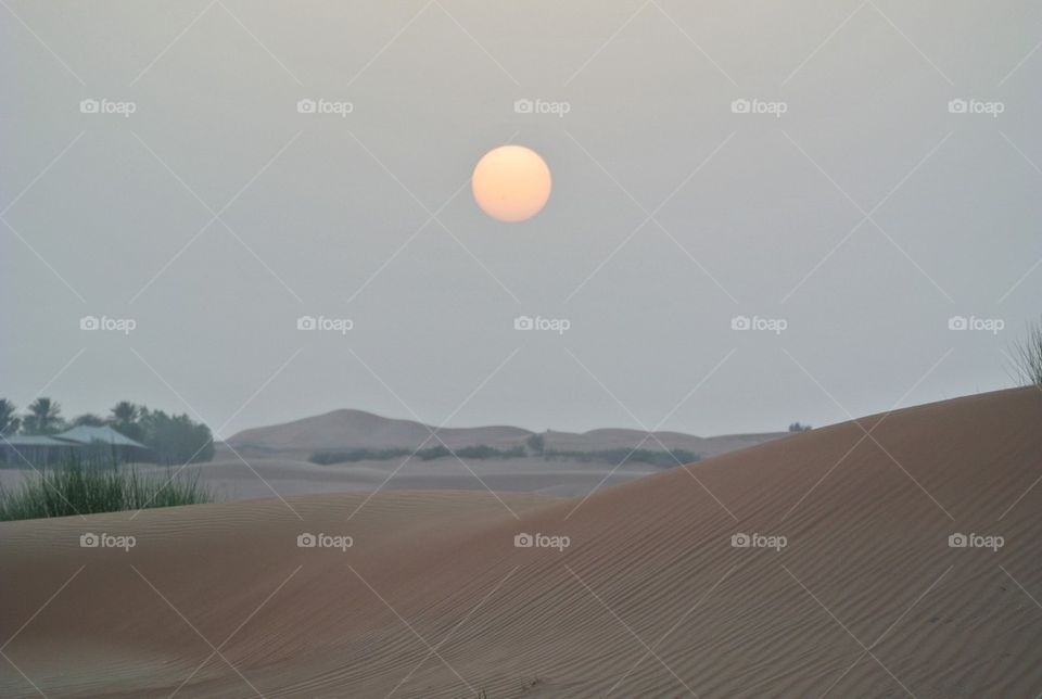 Desert sunset