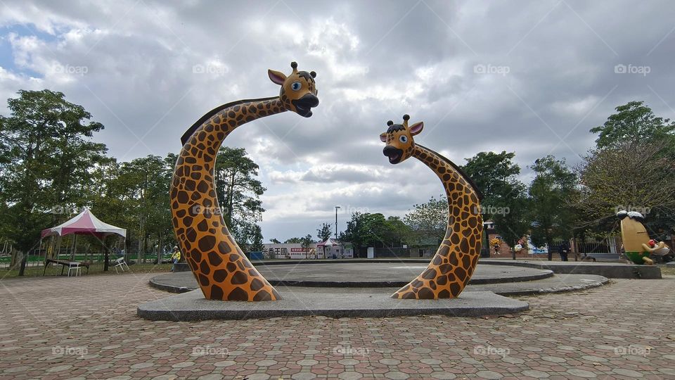 Two giraffes looking at each other