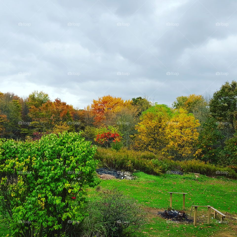No Person, Tree, Landscape, Nature, Outdoors