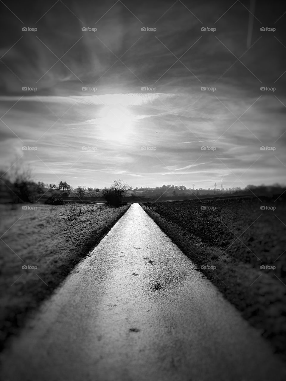 Road to nowhere bw
