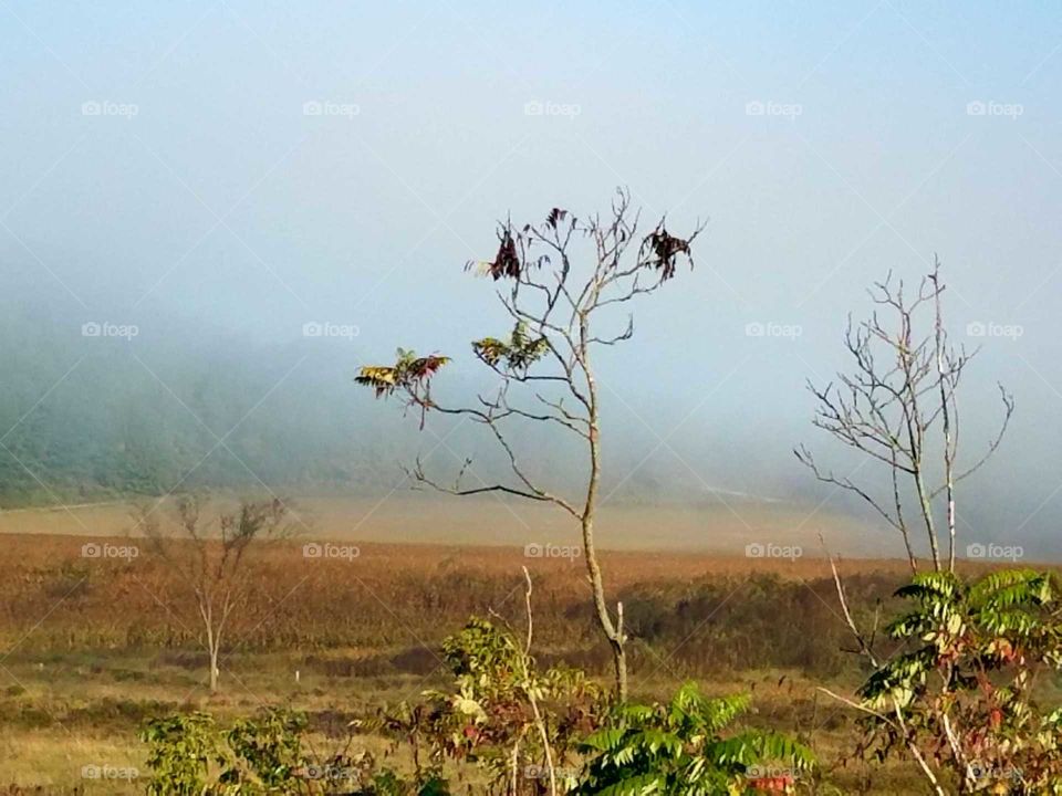 Watching the fog lifting in the valley.