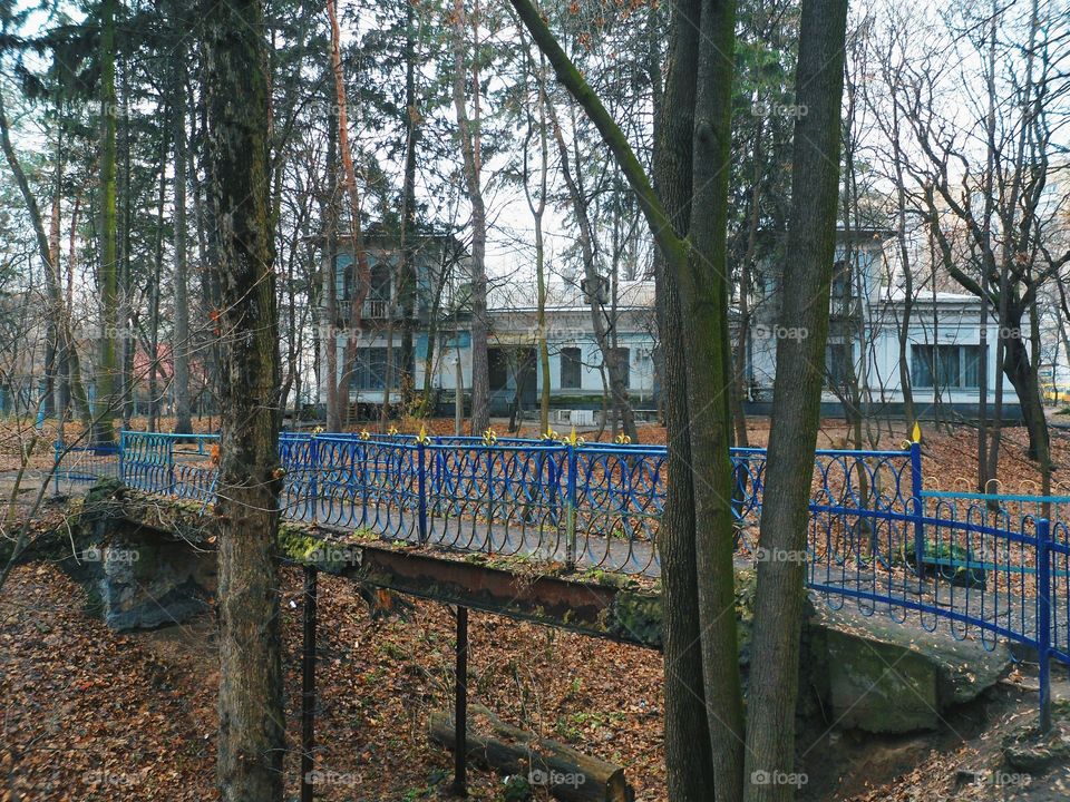 in autumn park in Kiev city, autumn