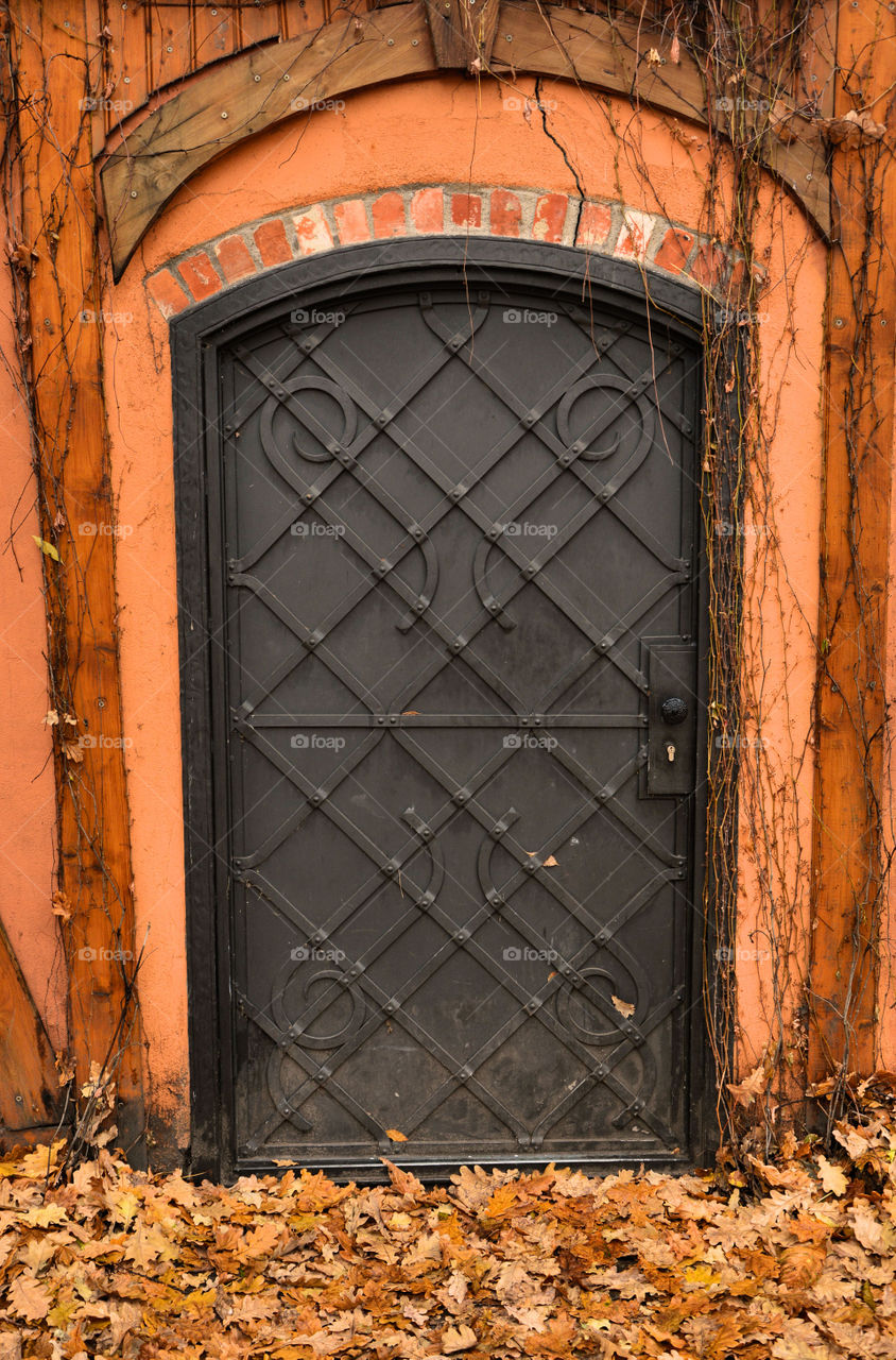 Door and Autumn Leaves