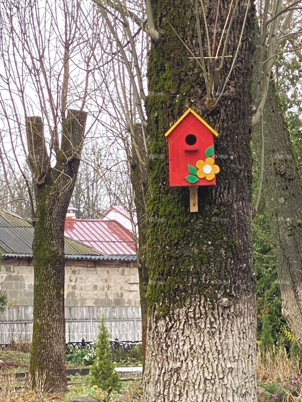 A red birdhouse on a tree.