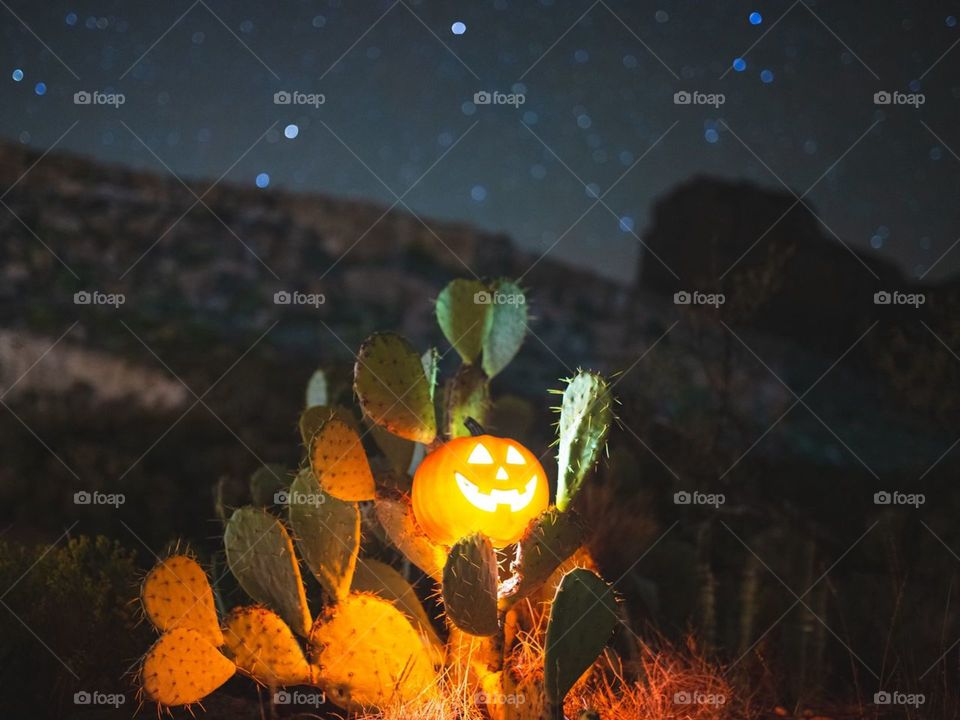 Кактус тики Хеллоуин маска