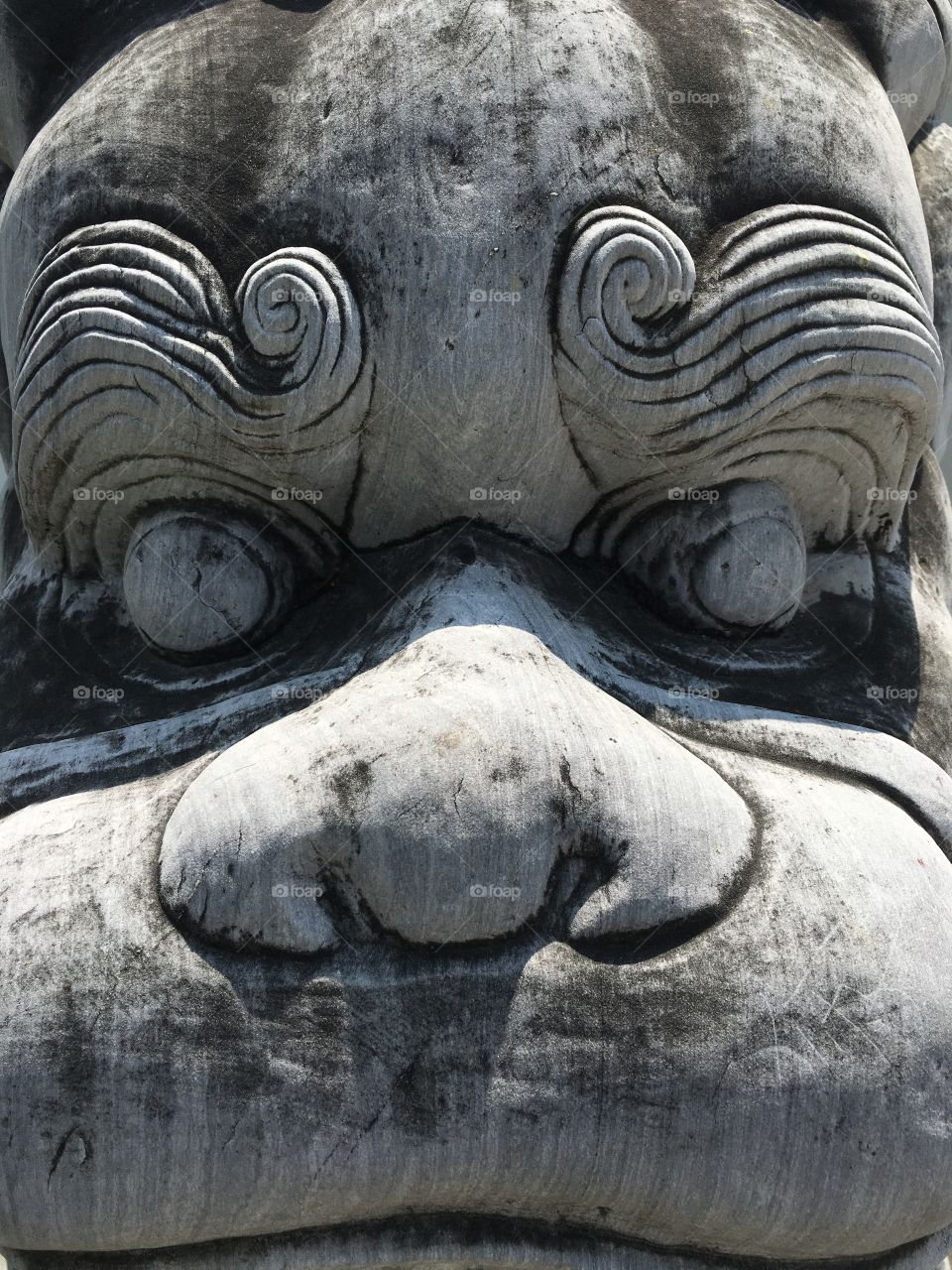 Chinese Traditional Stone Dragon in Shenzhen , China