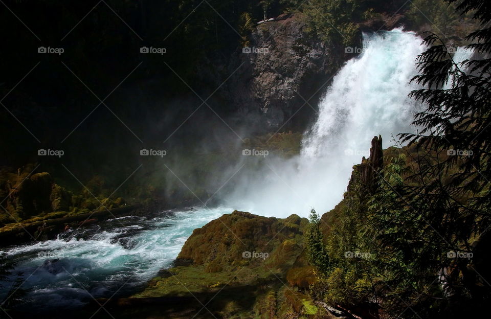 The beautiful McKenzie River rushes over a cliff forming Sahalie Falls through a canyon on a sunny morning in Western Oregon. 